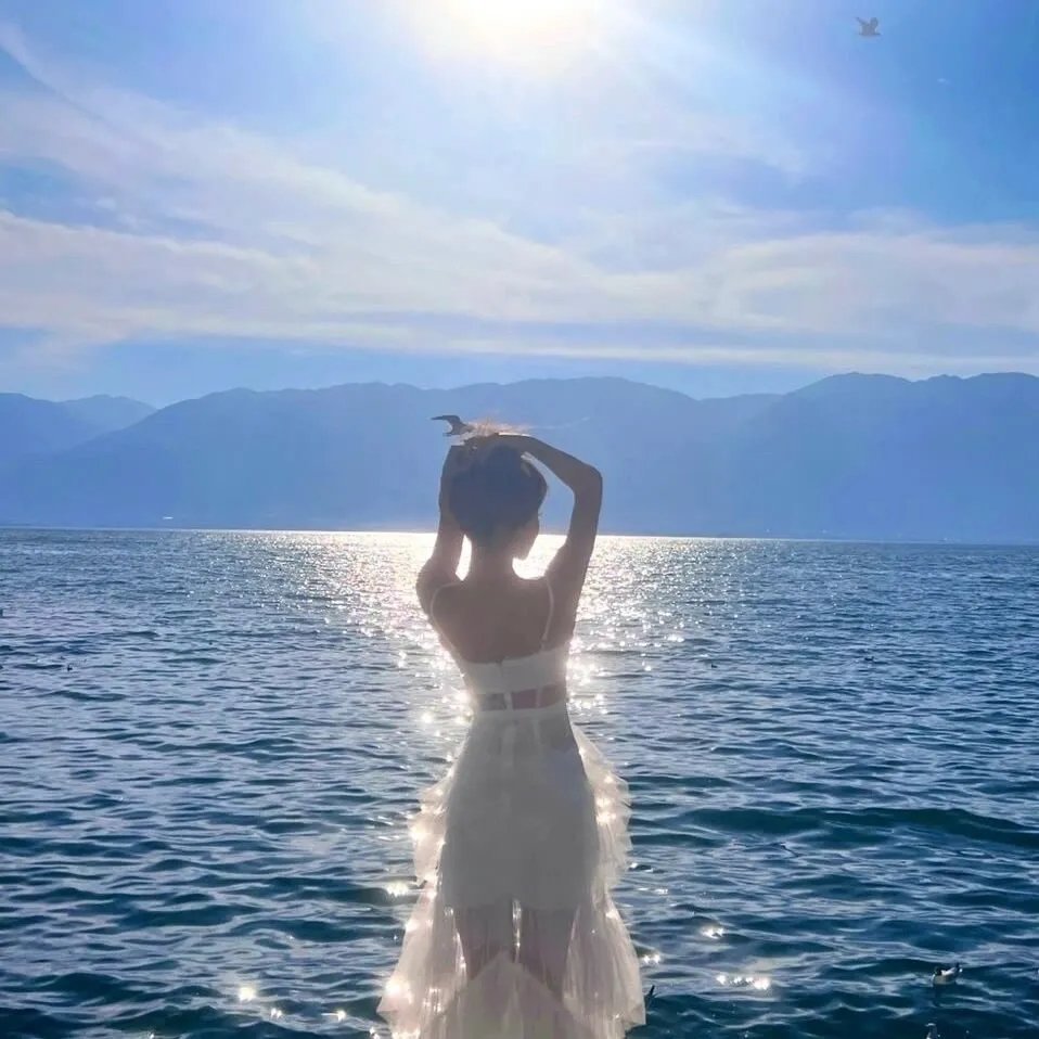 寻找成龙海报